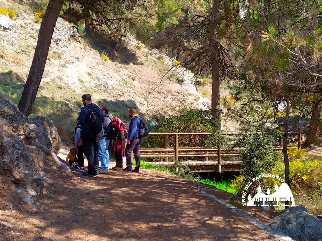 ActividadesparaGrupos_GhymkhanaTren05