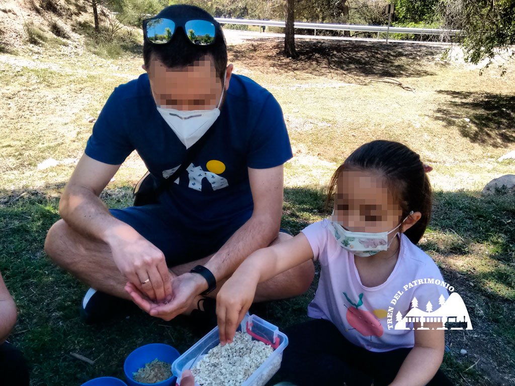 ActividadesparaGrupos_TrendelasEsencias02