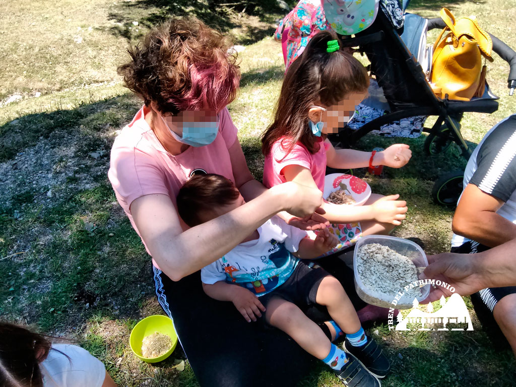 ActividadesparaGrupos_TrendelasEsencias03