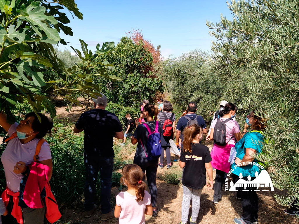 ActividadesparaGrupos_UndiaHistoriaNaturaleza01