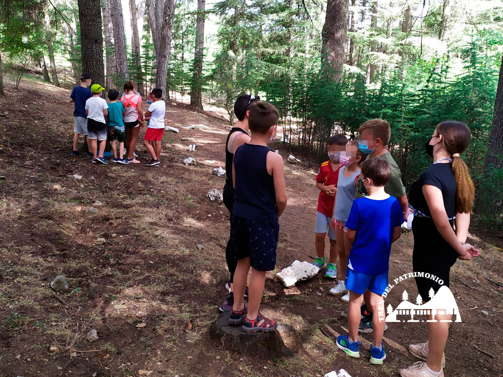 CumpleanosenTren_CumpleanosAmbientales02