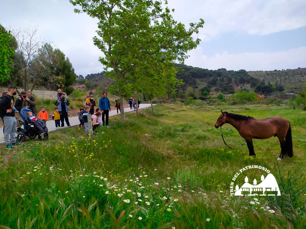 Historia_Aynadamar04