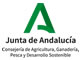 junta andalucía logo
