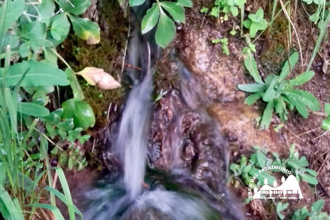 CarialfaquirRiohierro01