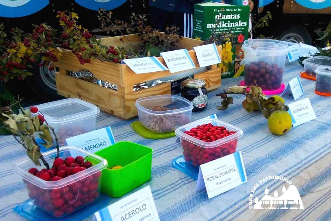 maholetas moras y agracejos