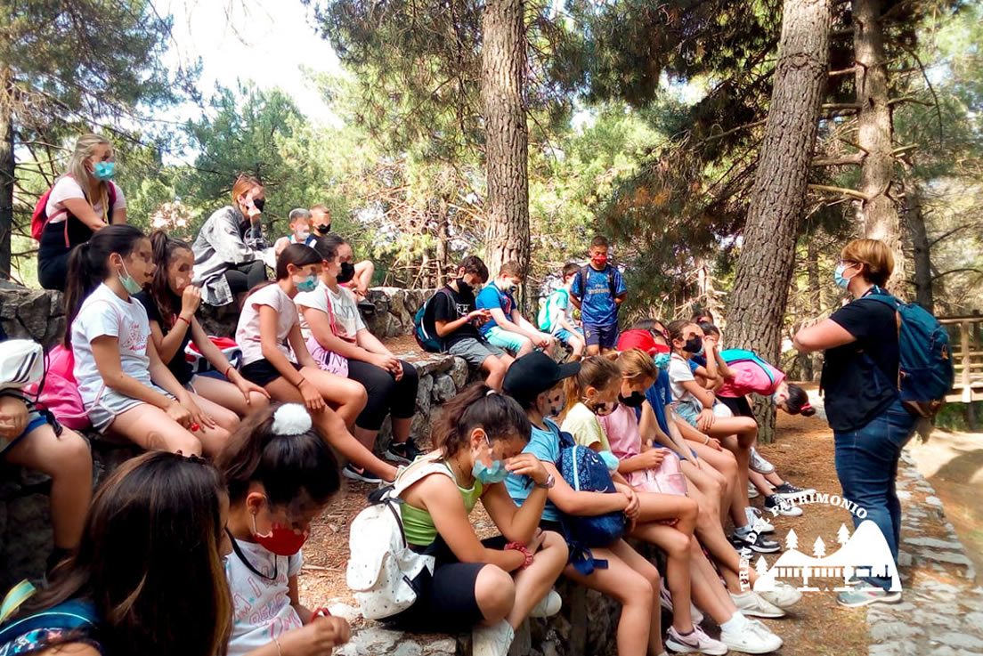 naturaleza ojos del poeta