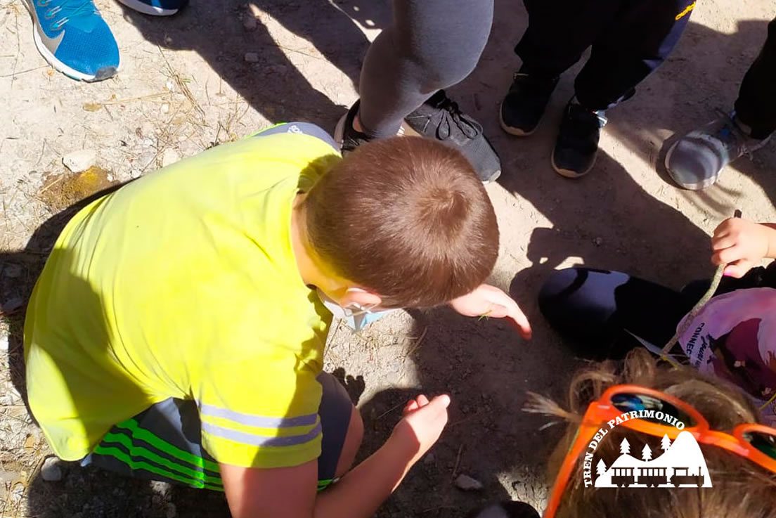 taller rastros y huellas