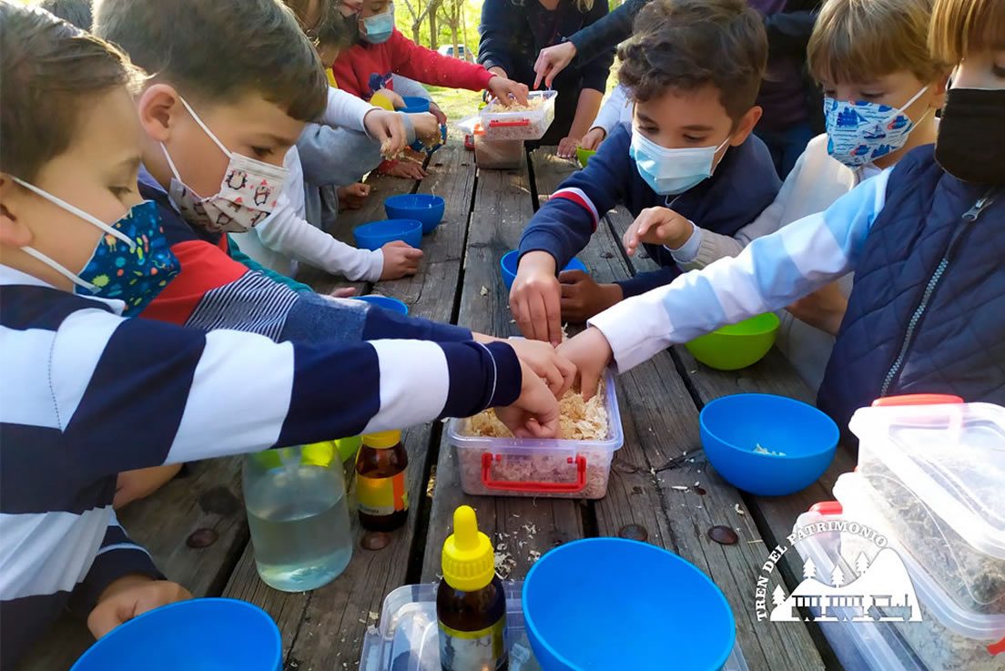 un paseo por el bosque